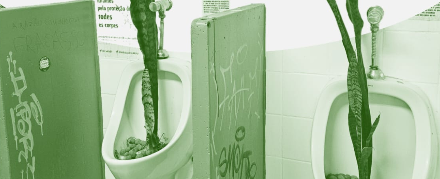 Imagem ilustrativa com "miquitórios" preenchidos por terra e a planta "Espada de são Jorge"